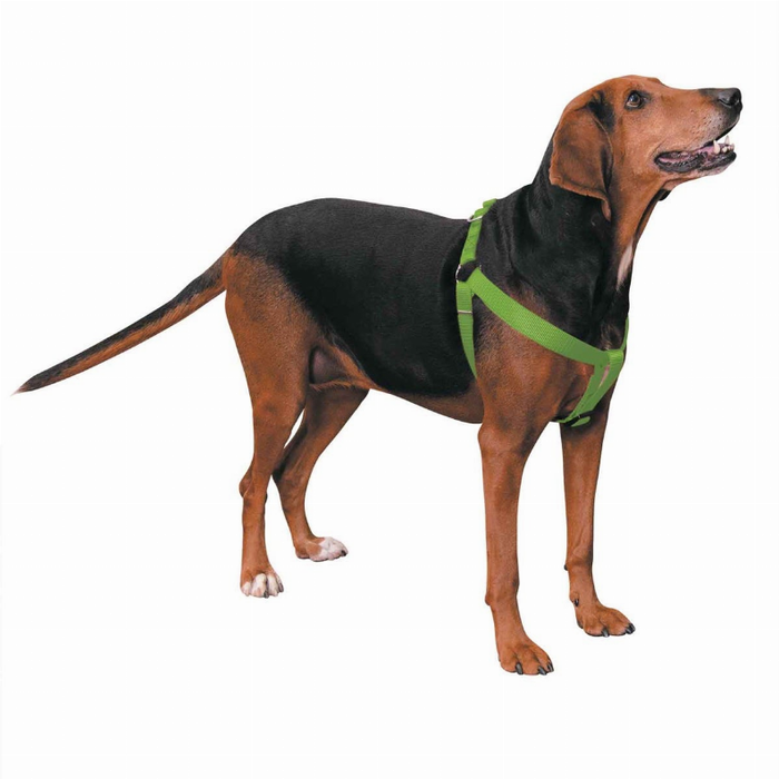 Cc Nylon 2 Step Harness