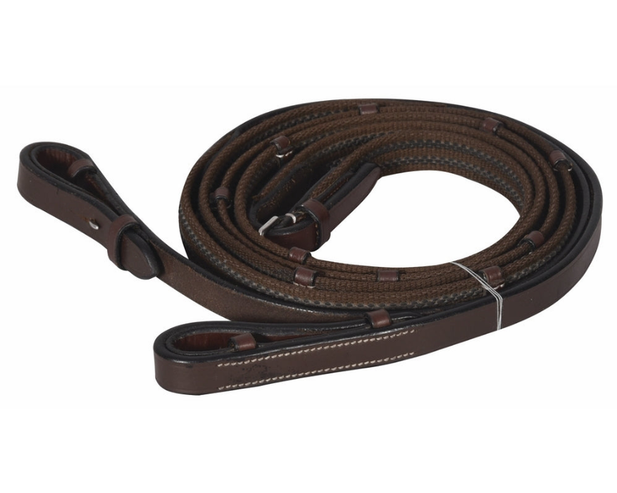 Henri De Rivel Pro Rubber Lined Web Reins