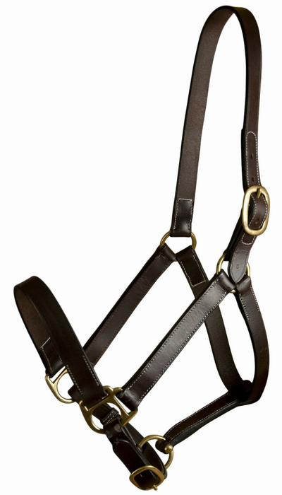 Gatsby Leather Adjustable Turnout Halter Without Snap
