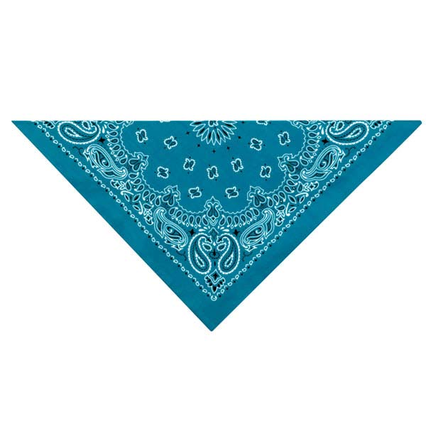 Tp Paisley Bandana