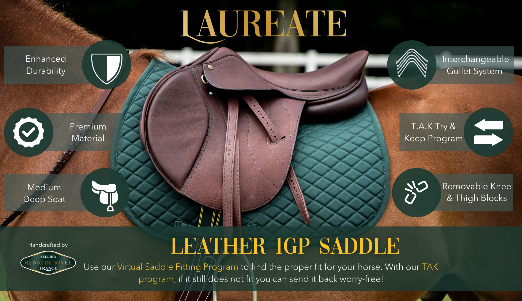Henri De Rivel Laureate Leather Igp Saddle