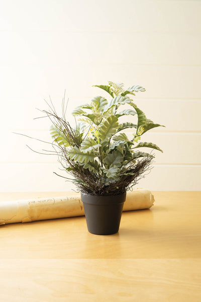 Artificial Dusty Miller Plant In A Black Pot