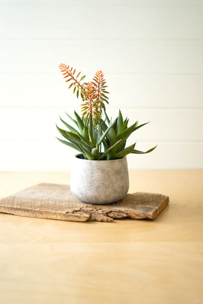 Artificial Aloe And Flowers In A Resin Pot