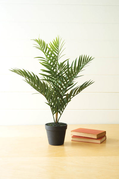 Artificial Areca Palm In A Black Pot