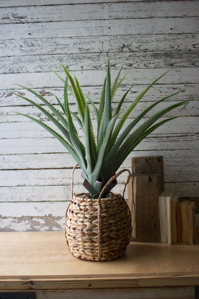 Artificial Aloe In A Woven Seagrass Pot