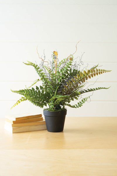 Artificial Fern In A Black Pot