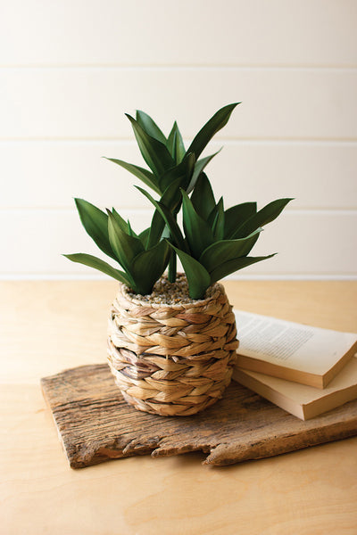 Artificial Leafy Plant In A Woven Planter