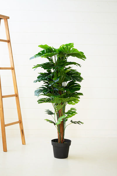 Artificial Monstera Plant In A Plastic Pot