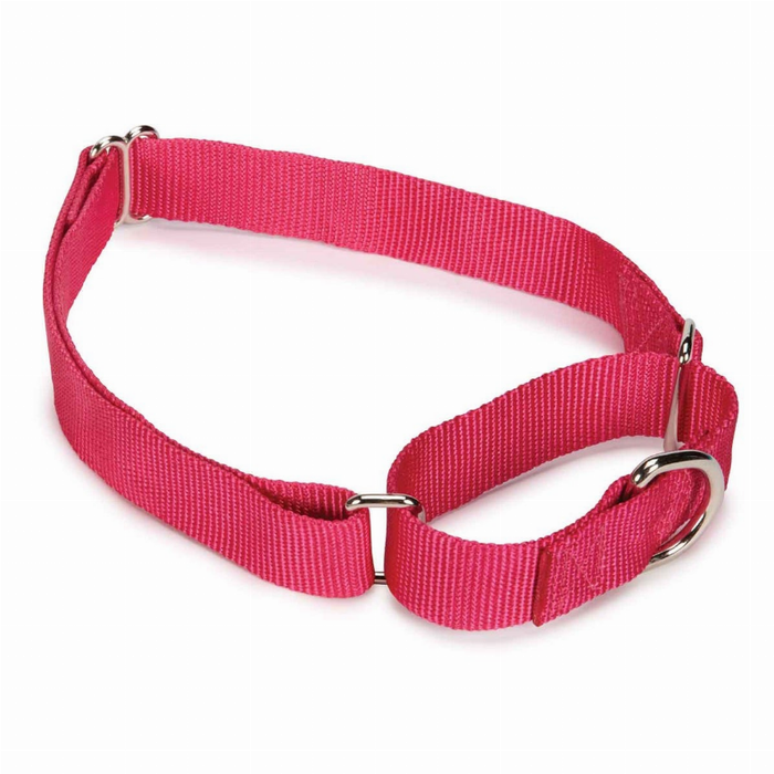 Gg Nylon Martingale Collar