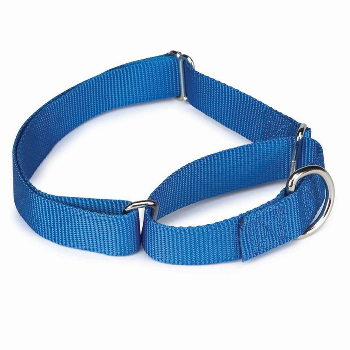 Gg Nylon Martingale Collar