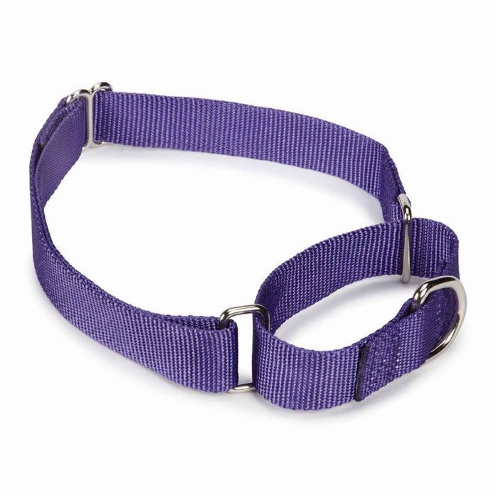 Gg Nylon Martingale Collar