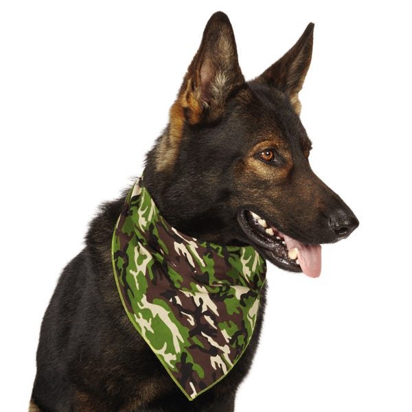 Ar Camo Bandana