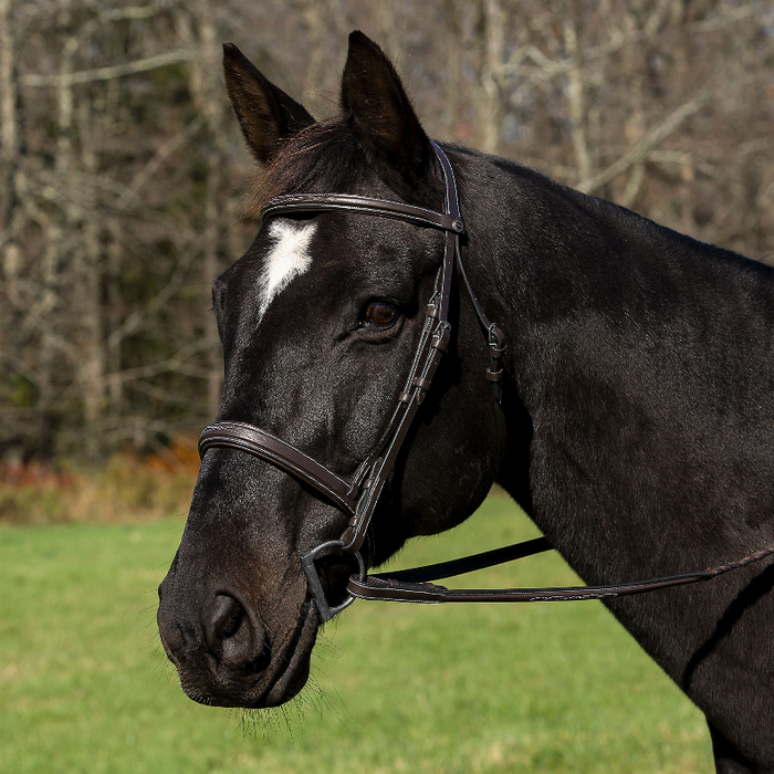 Henri De Rivel Pro Mono Crown Bridle With Padded Wide Noseband  With Laced Reins