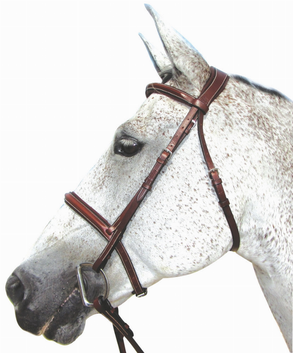 Henri De Rivel Pro Mono Crown Padded Bridle