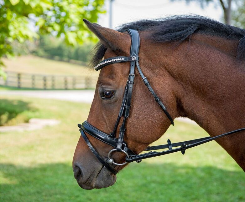 Henri De Rivel Diamonte Dressage Bridle