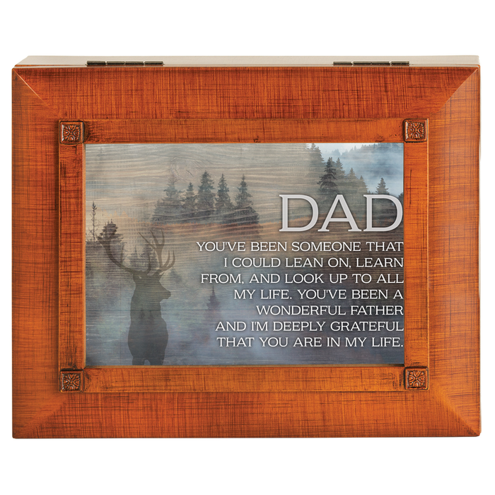 Accessory Box Dad, You Have Been Someone