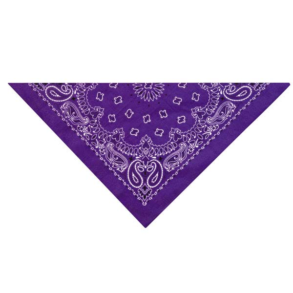 Tp Paisley Bandana