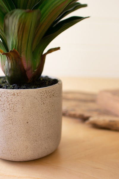Artificial Succulent Plant In A Ceramic Pot