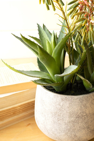 Artificial Aloe And Flowers In A Resin Pot