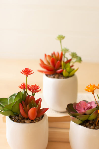 Set Of Three Artificial Succulent Plants In A White Pot