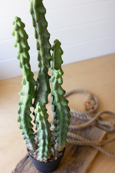 Artificial Cactus In A Black Plastic Pot With Six Stems