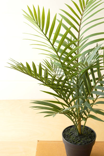 Artificial Areca Palm In A Black Pot