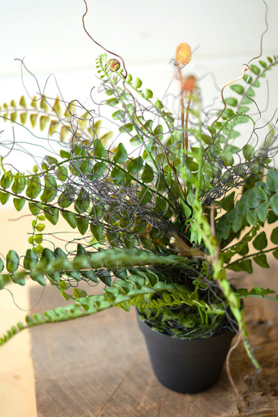 Artificial Fern In A Black Pot