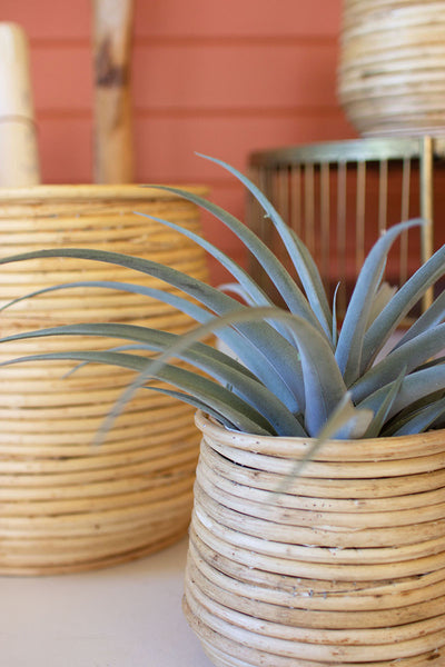 Set Of Three Woven Willow Planters