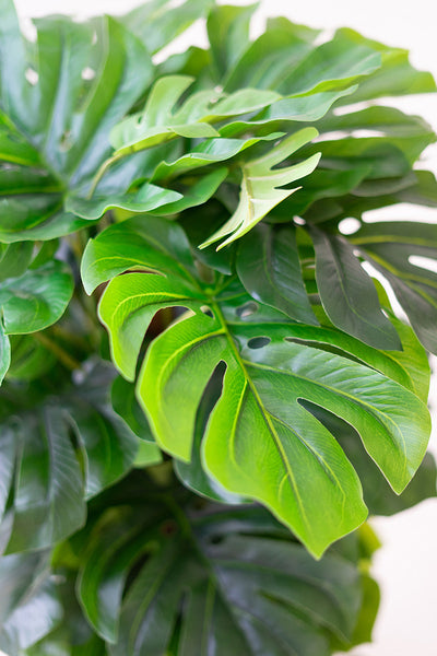 Artificial Monstera Plant In A Plastic Pot