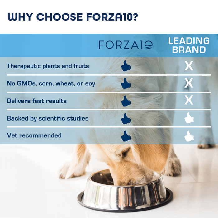 Forza10 Legend Digestion Grain-free Dry Dog Food