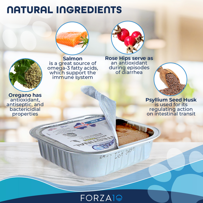 Forza10 Actiwet Intestinal Support Icelandic Fish Recipe Canned Cat Food