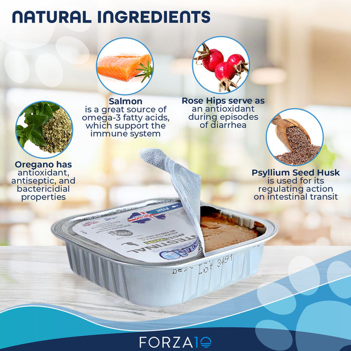 Forza10 Actiwet Intestinal Support Icelandic Fish Recipe Canned Dog Food