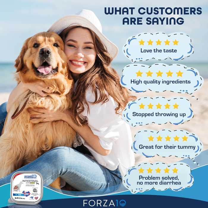 Forza10 Actiwet Intestinal Support Icelandic Fish Recipe Canned Dog Food