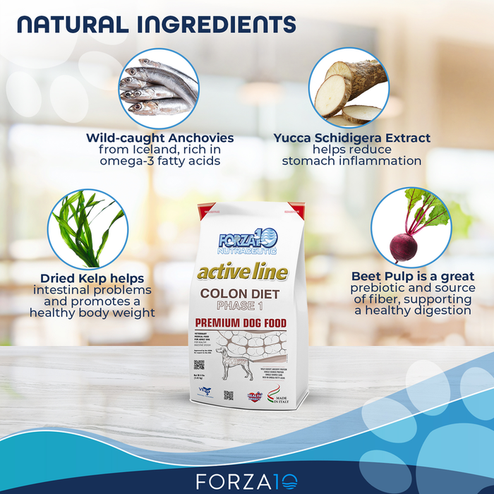 Forza10 Active Colon Support Diet Phase 1 Dry Dog Food