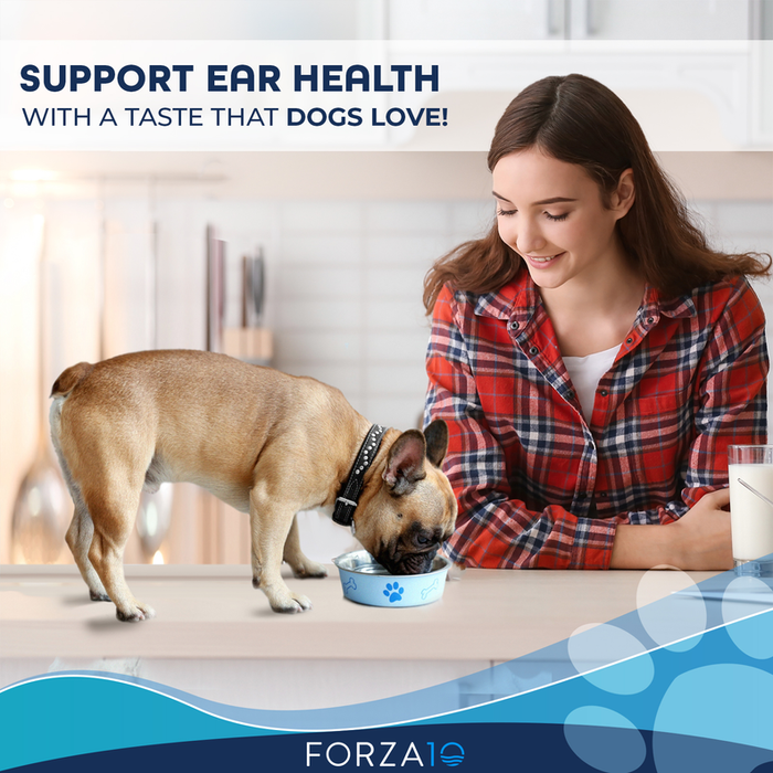 Forza10 Active Oto Support Diet Dry Dog Food