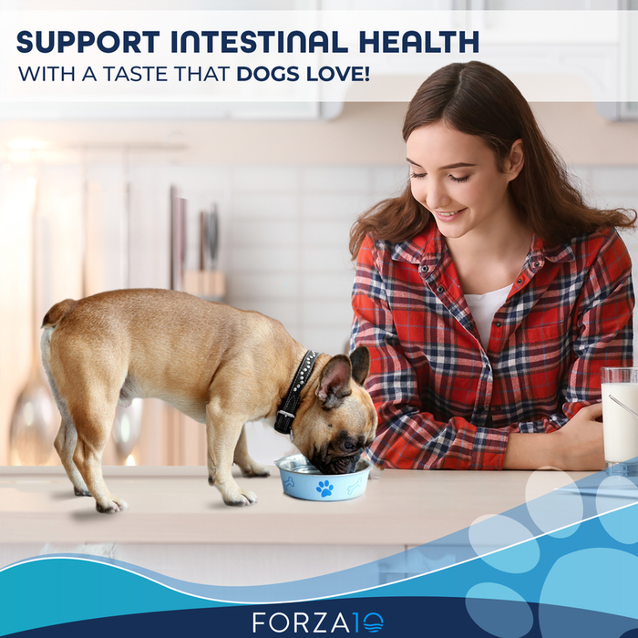 Forza10 Active Intestinal Support Diet Dry Dog Food