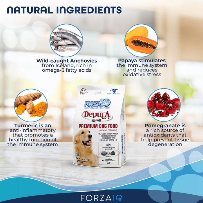 Forza10 Active Depura Fish Diet Dry Dog Food