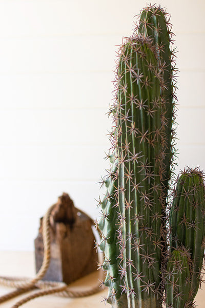 Artificial Cactus In A Black Plastic Pot With Five Stems